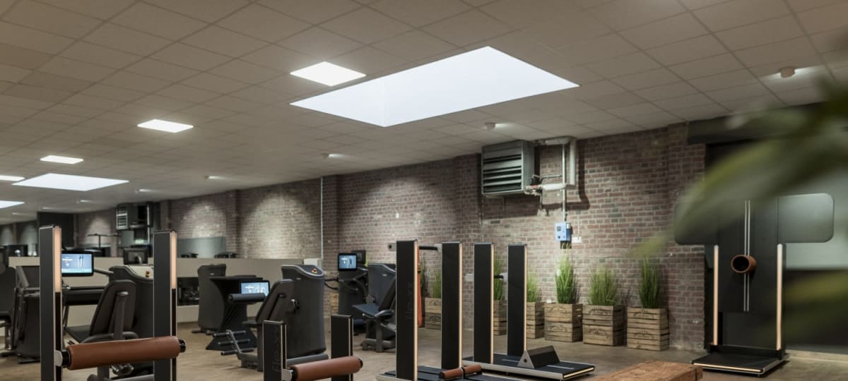 STARK Fitness + Lifestyle