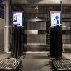 Professionelle Trainer