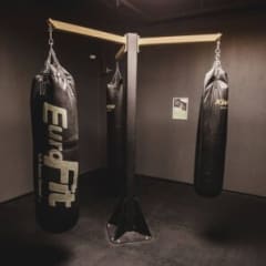 Professionelle Trainer