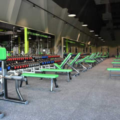 Großer Freihantelbereich bis zu 60KG