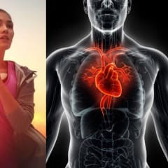 Herz-Kreislauf-Training