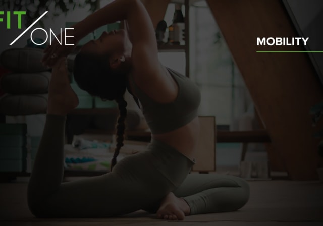 Fit/One Mobility