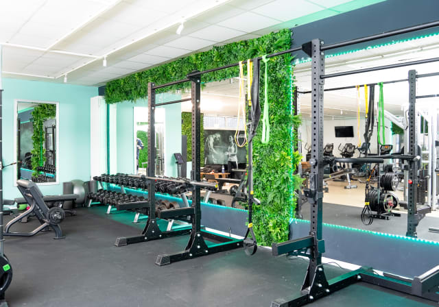Gym Photos