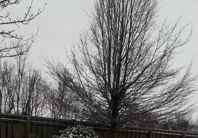 ❄Zauberhafte Winterlandschaft in der Sauna❄