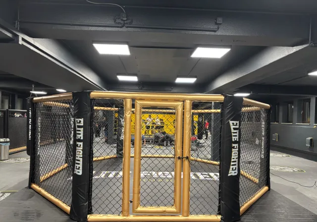 Elite Fighter Germany